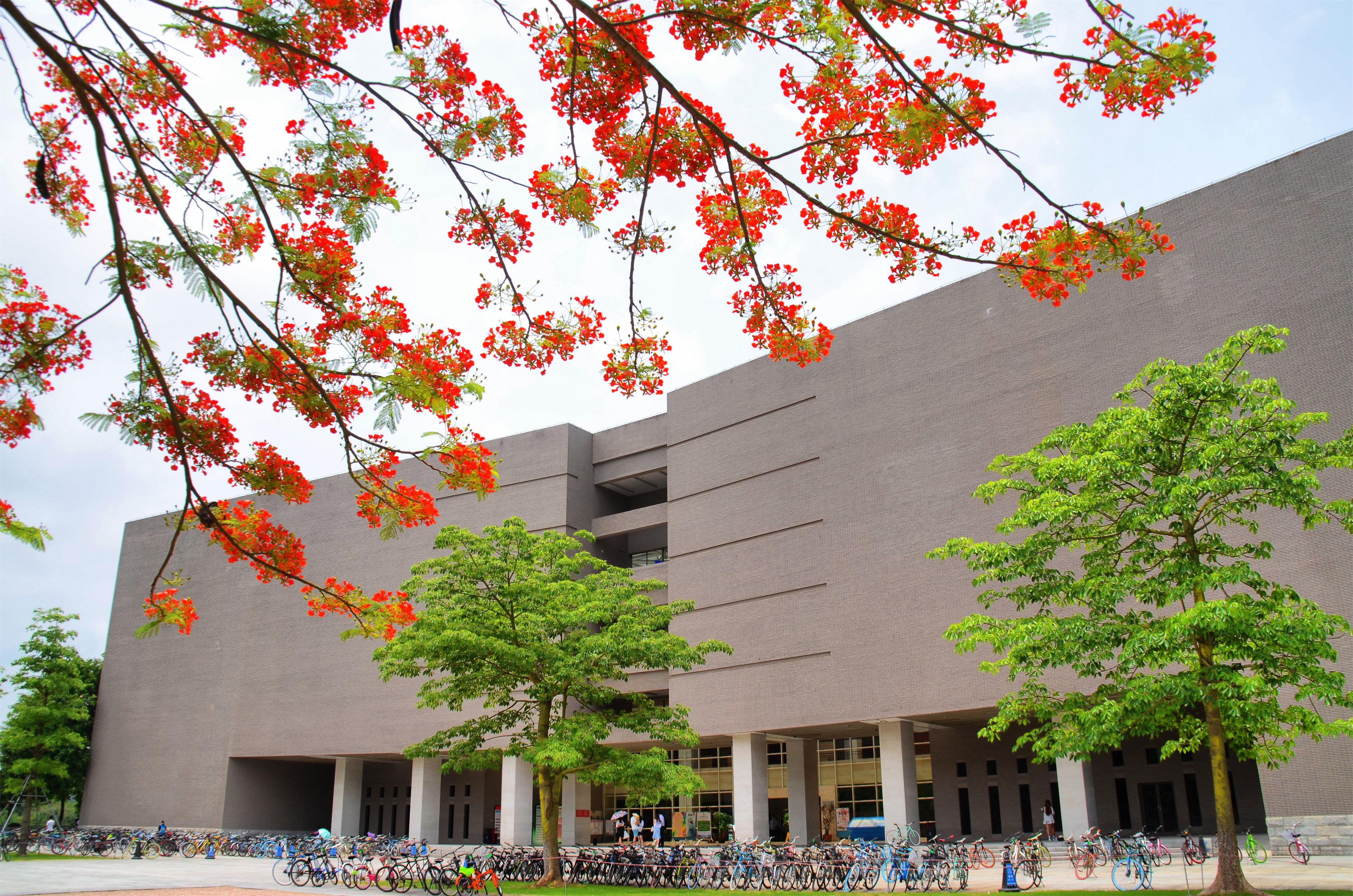 2026美加墨世界杯官网