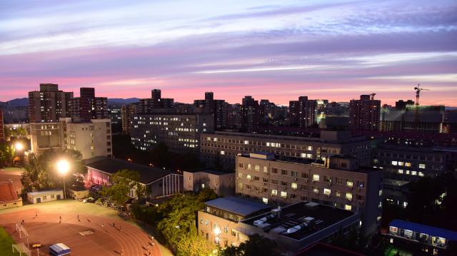 2026美加墨世界杯官网