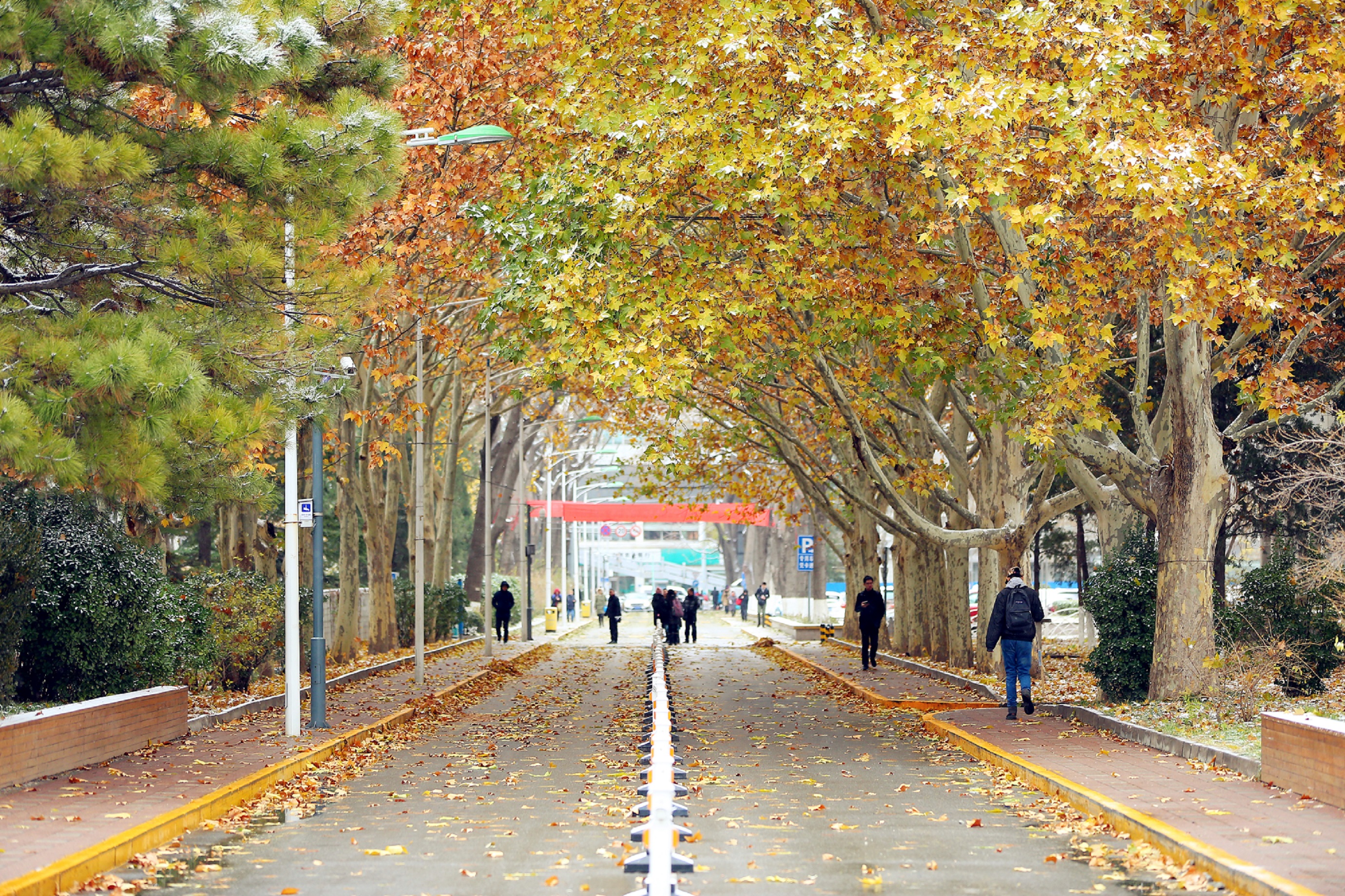 2026美加墨世界杯官网