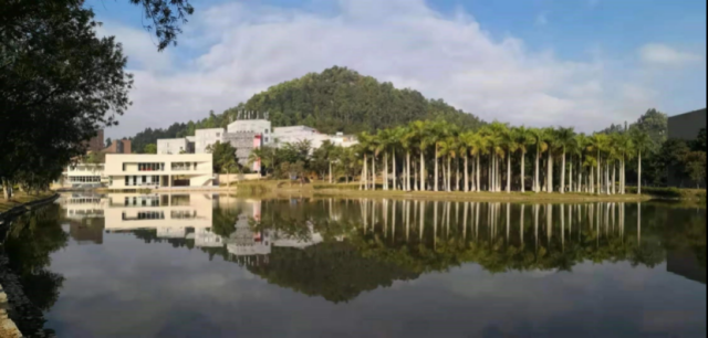 2026美加墨世界杯官网