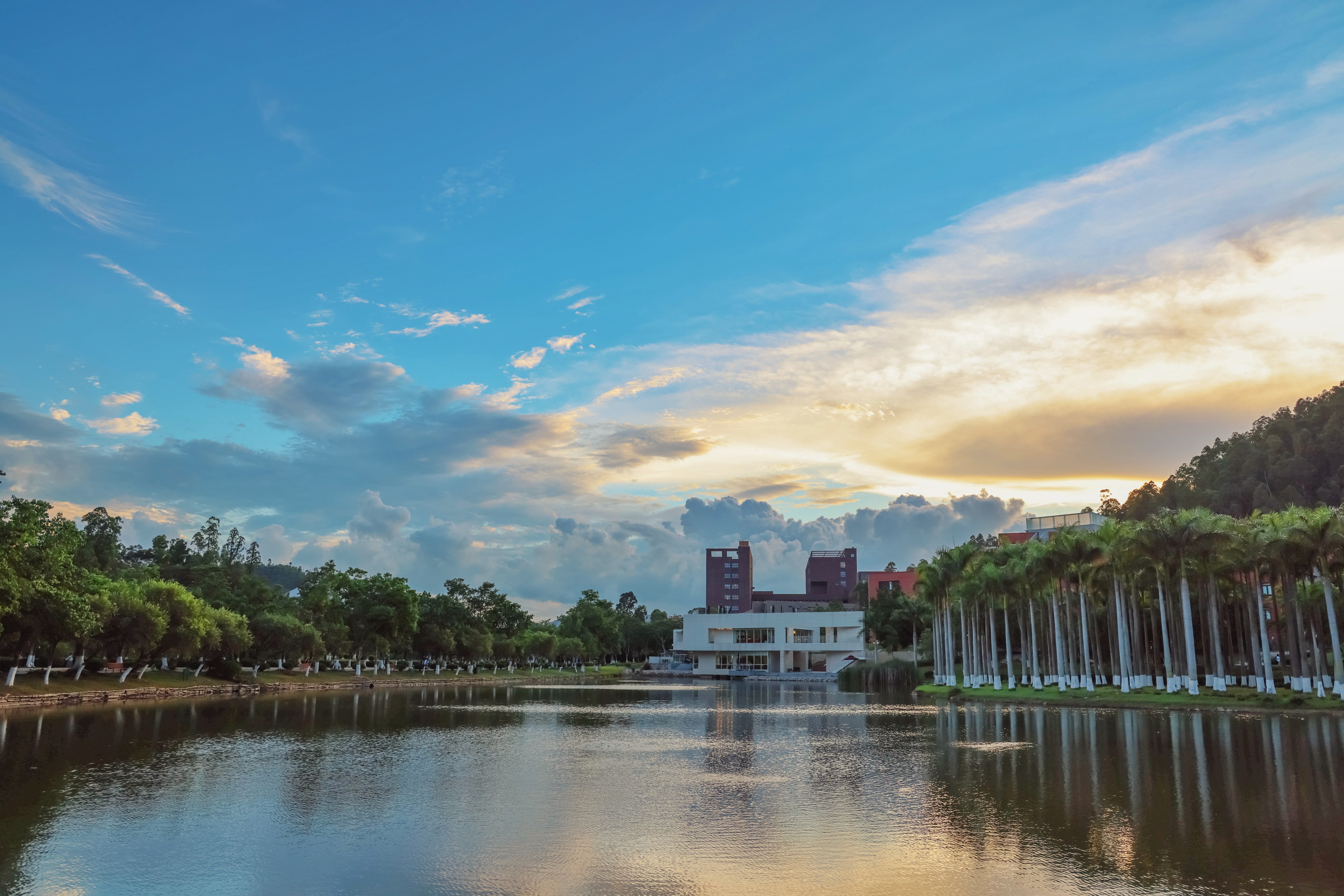 2026美加墨世界杯官网