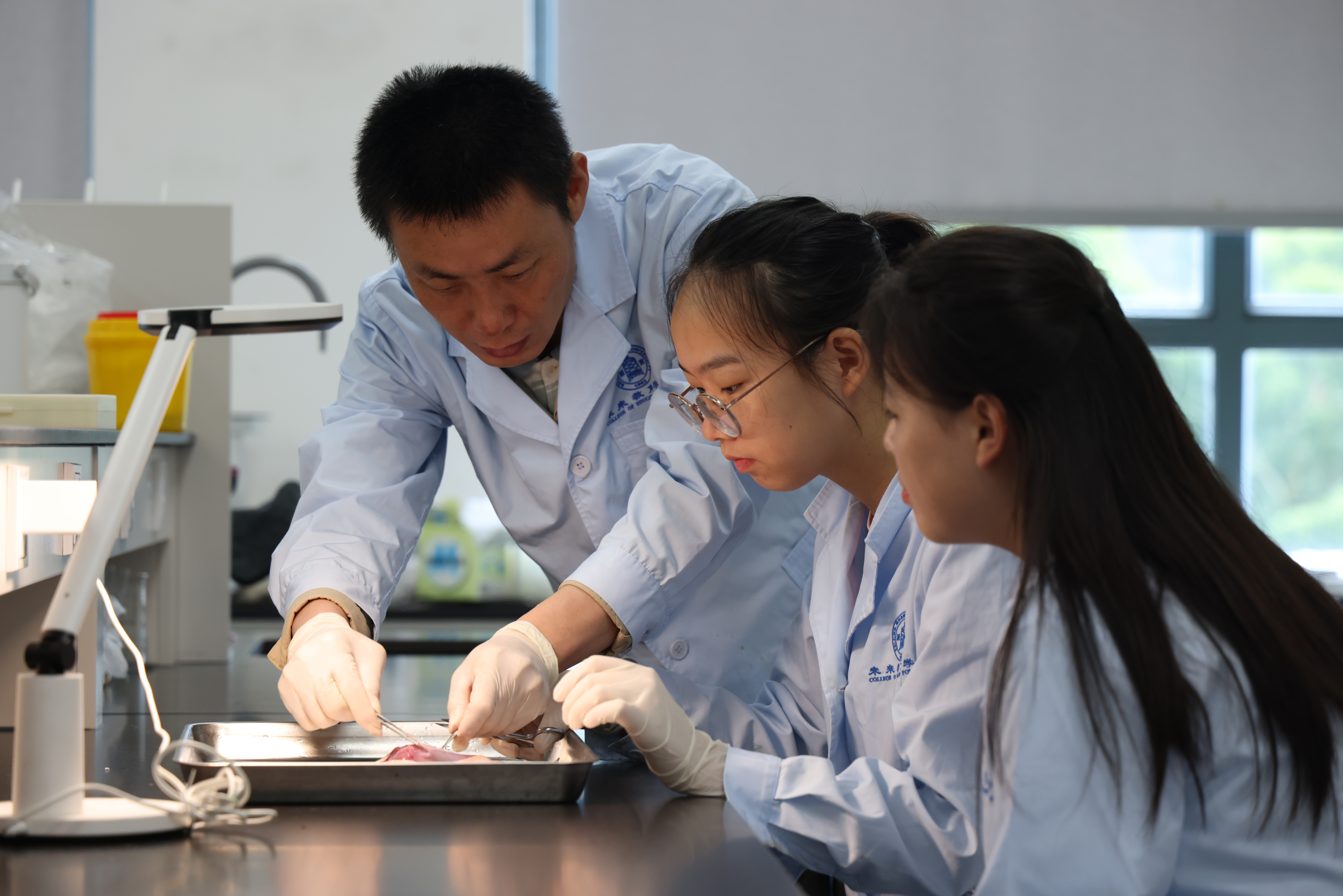 2026美加墨世界杯官网