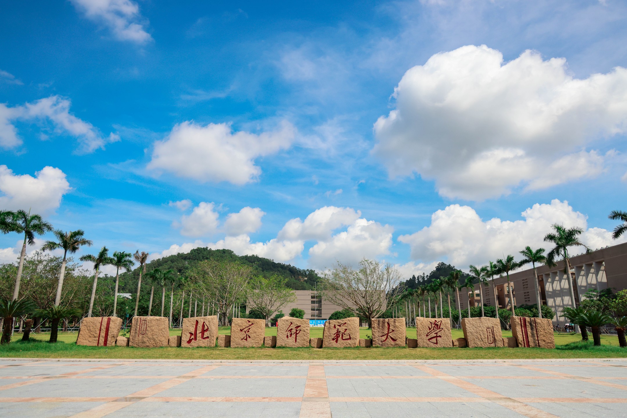 2026美加墨世界杯官网