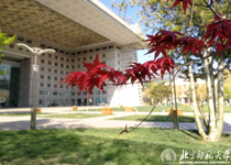 2026美加墨世界杯官网